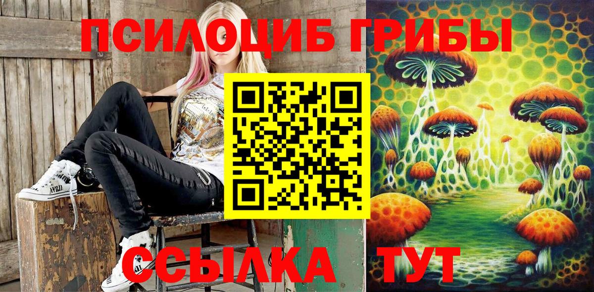 Галлюциногенные грибы Cubensis  Галлюциногенные грибы мицелий  Вход с VPN  Россошь 